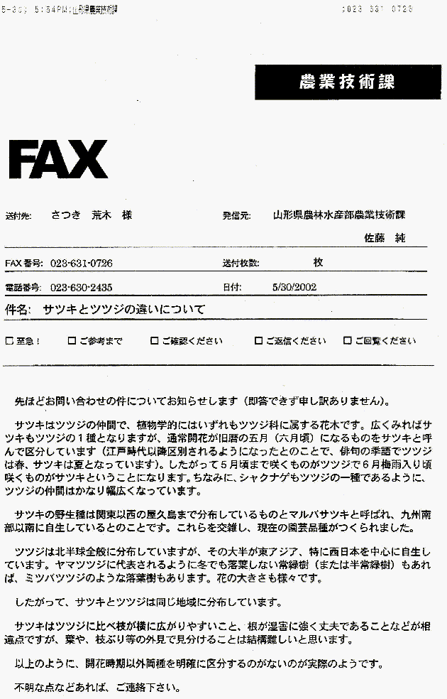 別ウインドウで実物大表示