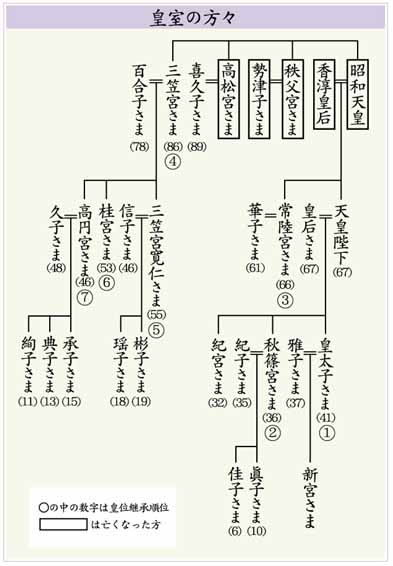 別ウインドウで実物大表示