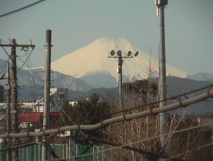 別ウインドウで実物大表示