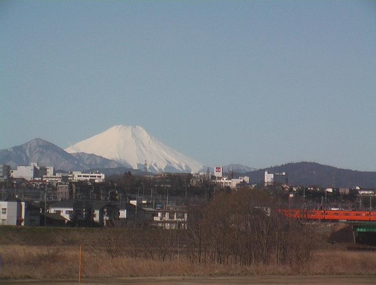 別ウインドウで実物大表示