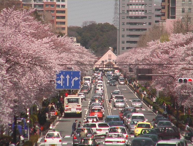 別ウインドウで実物大表示