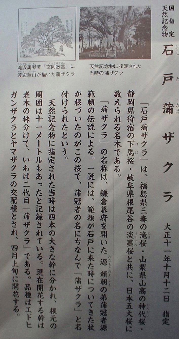 別ウインドウで実物大表示