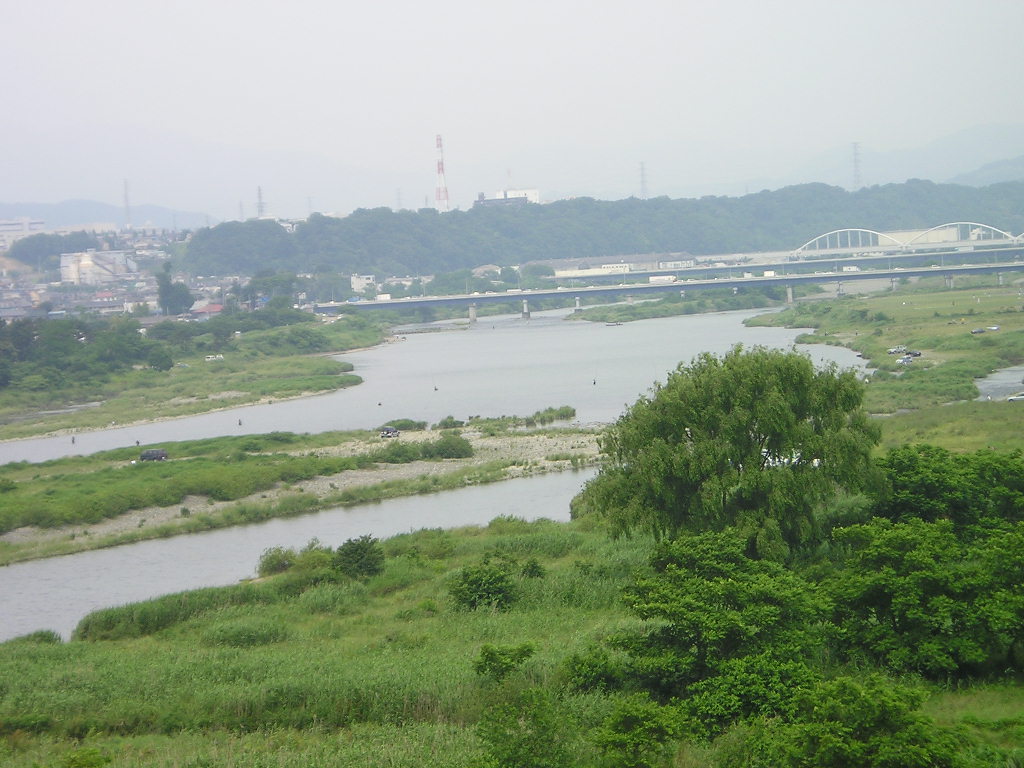 別ウインドウで実物大表示