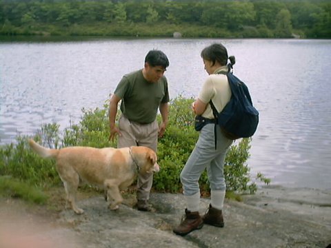 別ウインドウで実物大表示