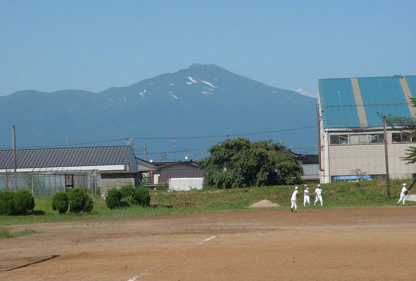 別ウインドウで実物大表示