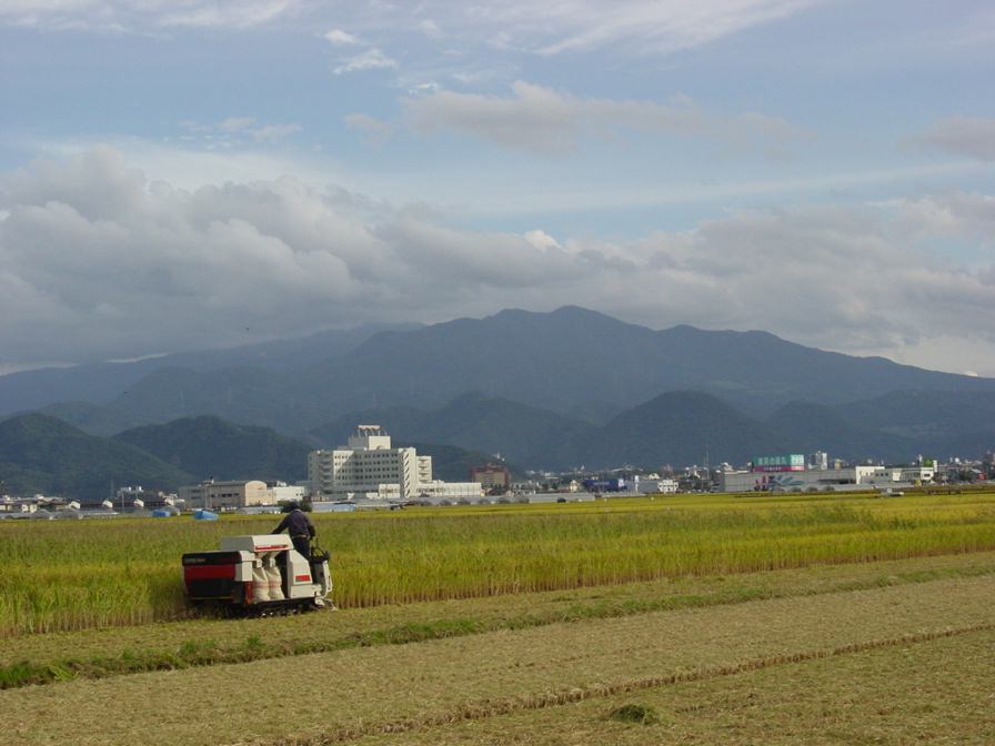 別ウインドウで実物大表示