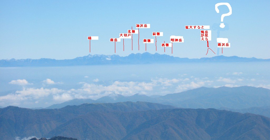 別ウインドウで実物大表示