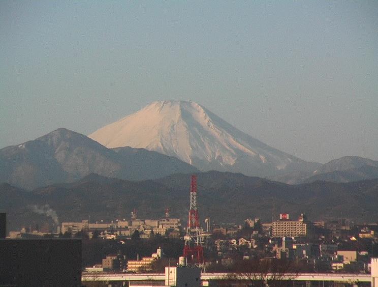 別ウインドウで実物大表示