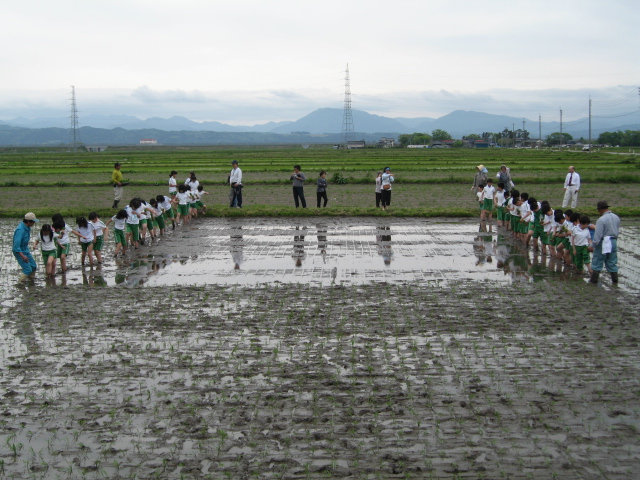 別ウインドウで実物大表示