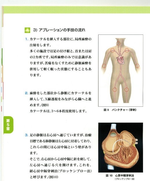 別ウインドウで実物大表示