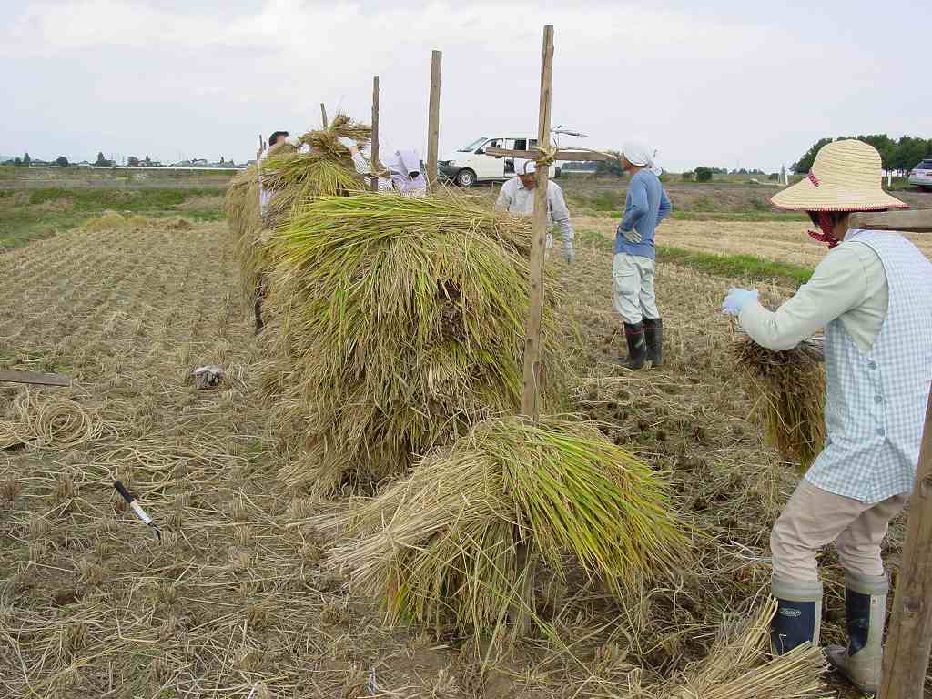 別ウインドウで実物大表示