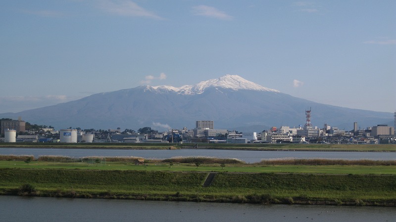 別ウインドウで実物大表示