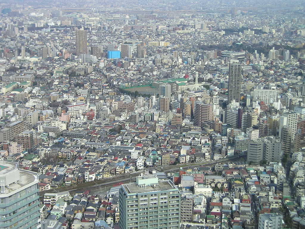 別ウインドウで実物大表示