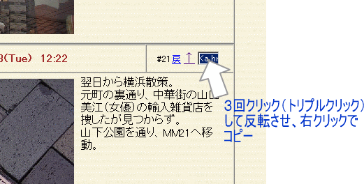 別ウインドウで実物大表示