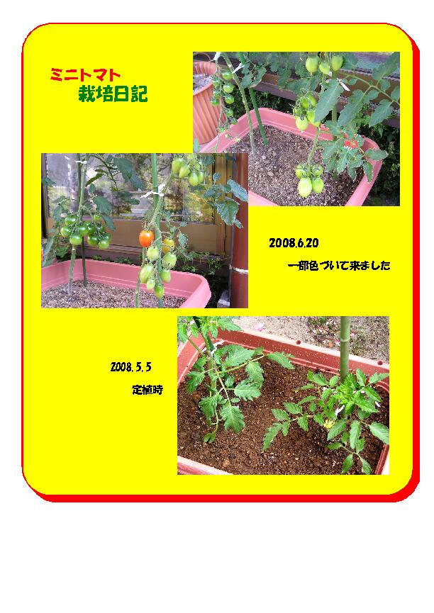 別ウインドウで実物大表示