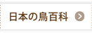 日本の鳥百科