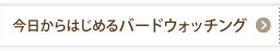 今日からはじめるバードウォッチングレポート