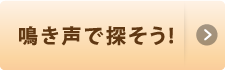 鳴き声で探そう！