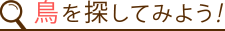 鳥を探してみよう！