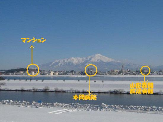 別ウインドウで実物大表示