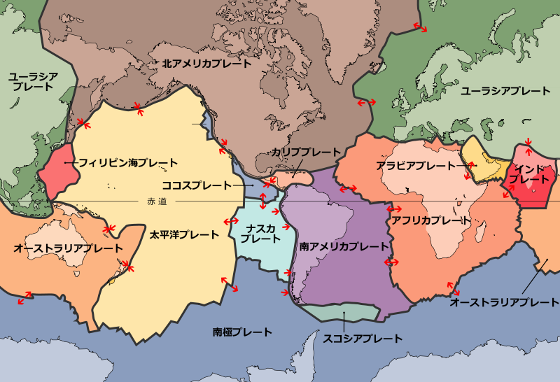 別ウインドウで実物大表示