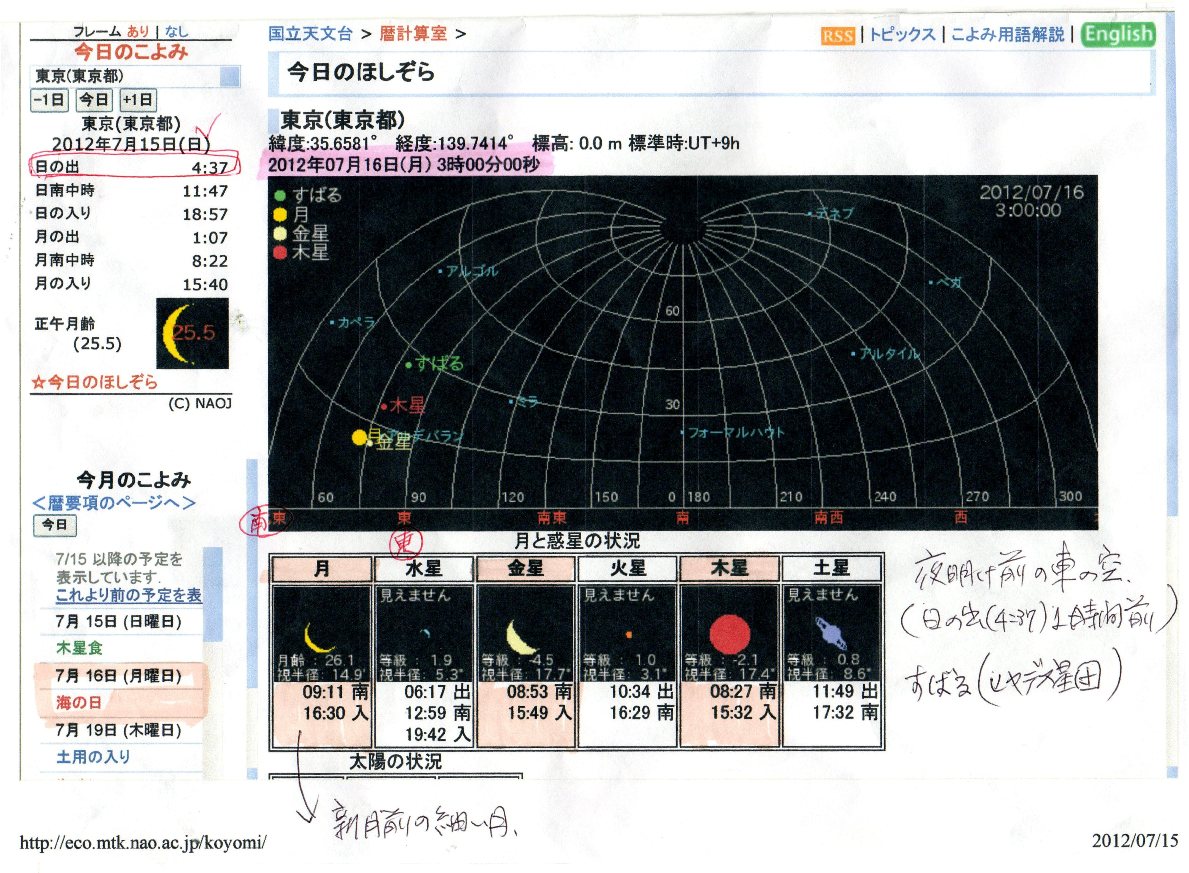 別ウインドウで実物大表示