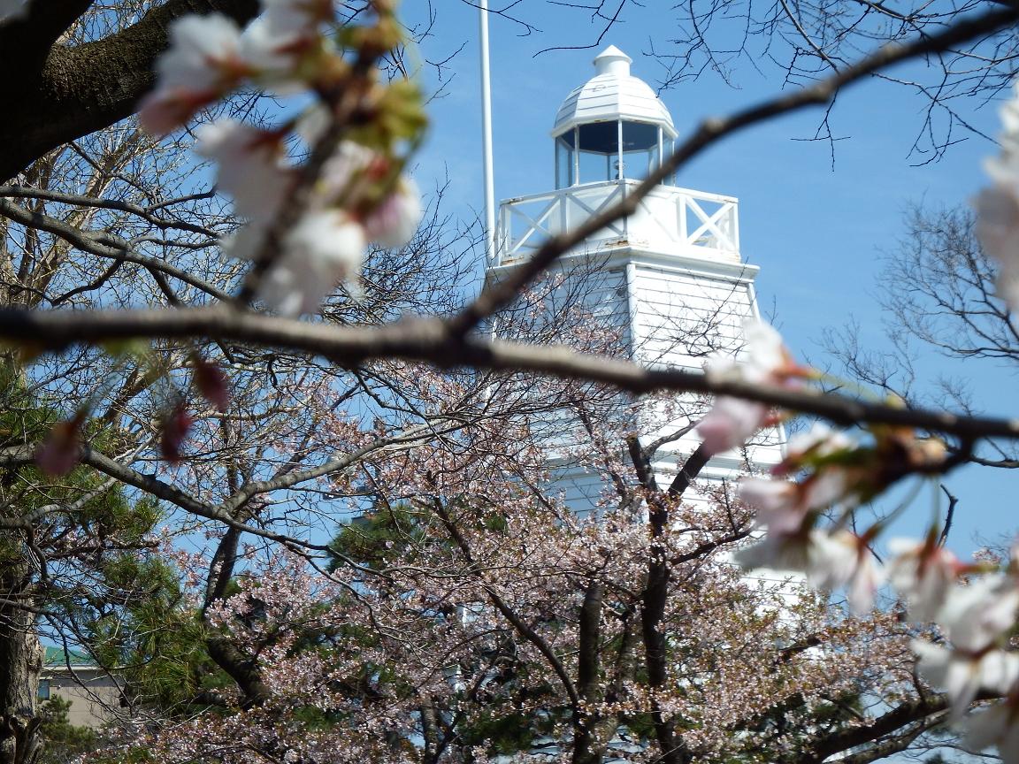 別ウインドウで実物大表示