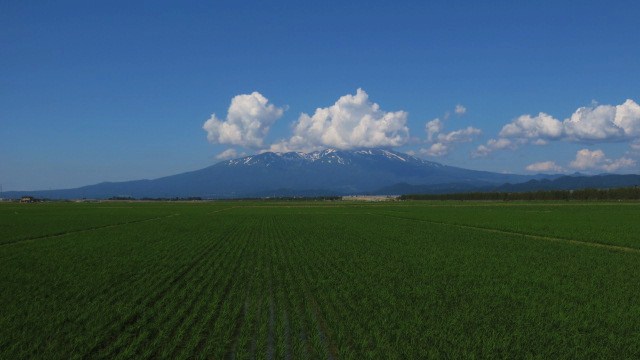 別ウインドウで実物大表示