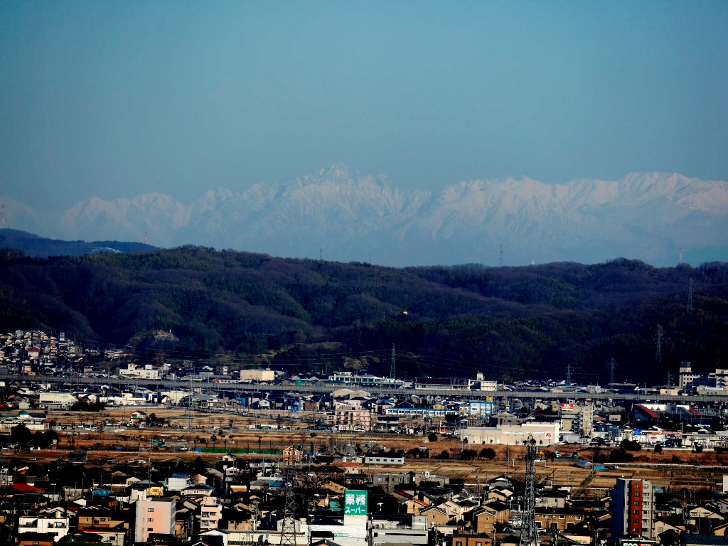 別ウインドウで実物大表示