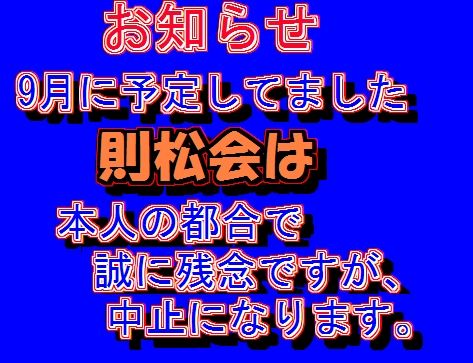 別ウインドウで実物大表示