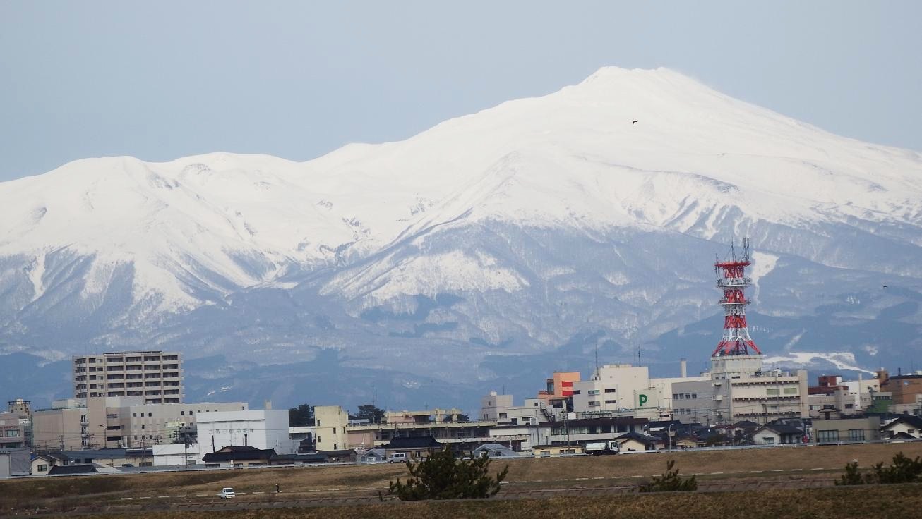 別ウインドウで実物大表示