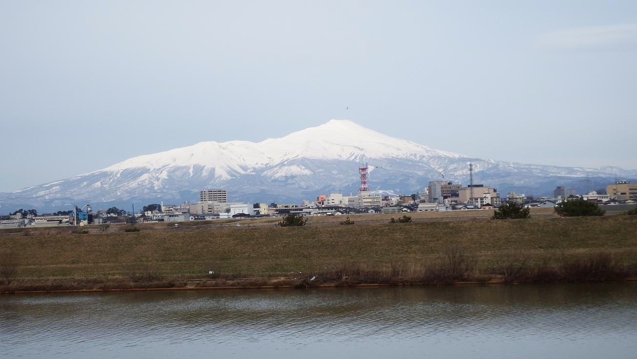 別ウインドウで実物大表示