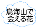 鳥海山で会える花